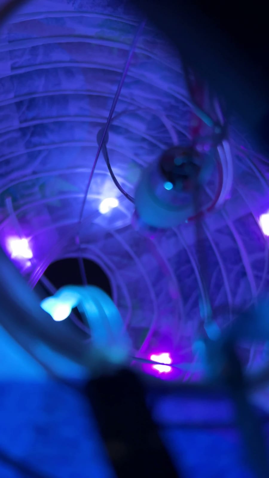 A short vertical clip of one of the living room lanterns: a look from outside first, then a closer look inside where the addressable LEDs sit.